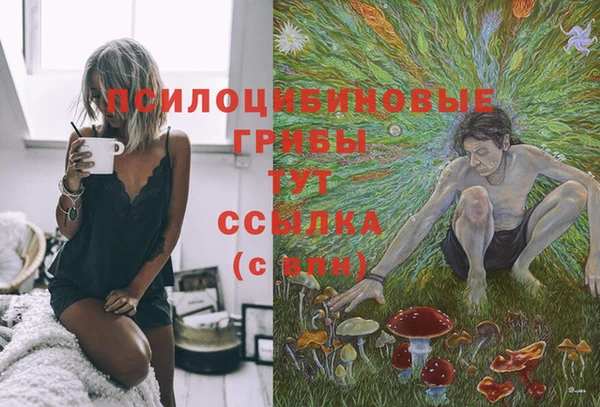 COCAINE Богданович