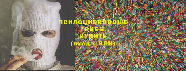 мдма Богородицк